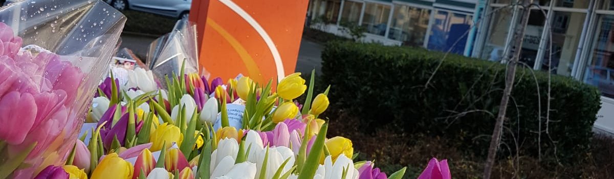 tulpen Swellengrebel.JPG